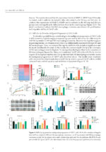 Oral Cancer Prophylaxis, Etiopathogenesis and Treatment 2025 - Image 2