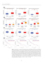Oral Cancer Prophylaxis, Etiopathogenesis and Treatment 2025 - Image 6