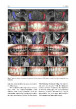 Craniofacial Pain: Temporomandibular Disorders and Beyond 2024 - Image 2