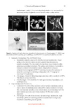 Essential Head and Neck Oncology and Surgery 2026 - Image 8