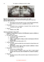 Essential Head and Neck Oncology and Surgery 2026 - Image 9