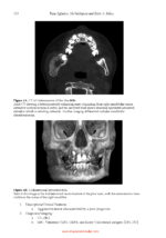 Essential Head and Neck Oncology and Surgery 2026 - Image 2