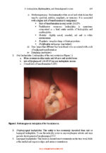 Essential Head and Neck Oncology and Surgery 2026 - Image 3