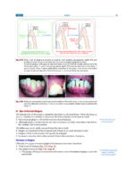 Textbook of Periodontology: for Undergraduate Students 2025 - Image 2