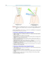 Textbook of Periodontology: for Undergraduate Students 2025 - Image 8