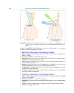 Textbook of Periodontology: for Undergraduate Students 2025 - Image 8