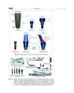 Textbook of Periodontology: for Undergraduate Students 2025 - Image 13