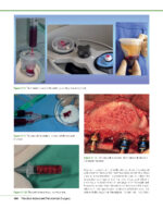PRACTICAL ADVANCED PERIODONTAL SURGERY 2020 - Image 2