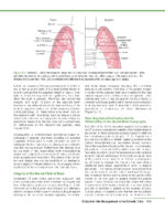 PRACTICAL ADVANCED PERIODONTAL SURGERY 2020 - Image 3