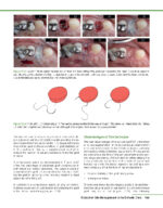 PRACTICAL ADVANCED PERIODONTAL SURGERY 2020 - Image 5