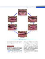 Textbook of Oral Medicine and Radiology 2021 - Image 2