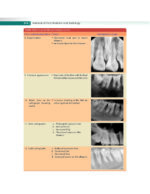Textbook of Oral Medicine and Radiology 2021 - Image 4
