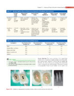 GROSSMAN’S ENDODONTIC PRACTICE 2021 (14th Edition) - Image 5