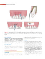 GROSSMAN’S ENDODONTIC PRACTICE 2021 (14th Edition) - Image 10