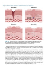 Pathological Basis of Oral and Maxillofacial Diseases 2025 - Image 3
