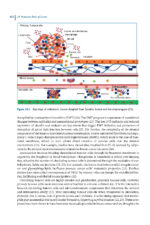 Pathological Basis of Oral and Maxillofacial Diseases 2025 - Image 7