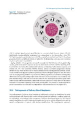 Pathological Basis of Oral and Maxillofacial Diseases 2025 - Image 10
