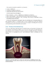 Pathological Basis of Oral and Maxillofacial Diseases 2025 - Image 11