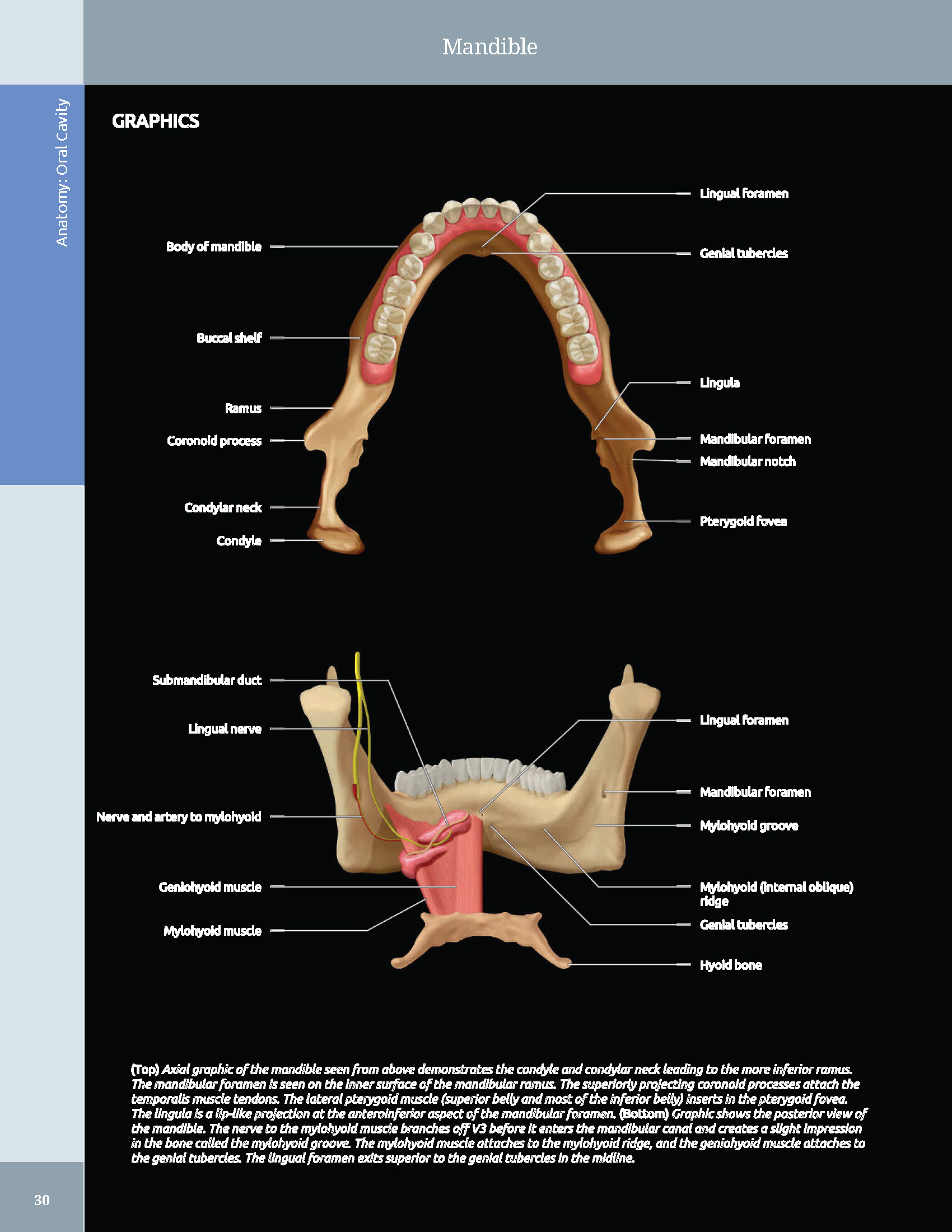 Pages from 48 Pages from Diagnostic_Imaging_Oral_and_Maxillofacial_Koenig_3e_2024_Original-2.pdf_Page_05 DIAGNOSTIC IMAGING: ORAL AND MAXILLOFACIAL - Koenig 2024 (THIRD EDITION) 2VOL - Image 10