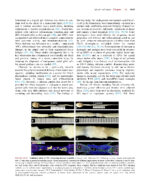 Principles of Tissue Engineering -5th Edition- 2020 (2 Vol) - Image 7