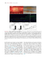 Principles of Tissue Engineering -5th Edition- 2020 (2 Vol) - Image 8