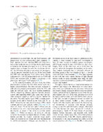 Principles of Tissue Engineering -5th Edition- 2020 (2 Vol) - Image 9
