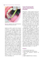 Handbook of Clinical Techniques in Pediatric Dentistry 2022 - Image 3