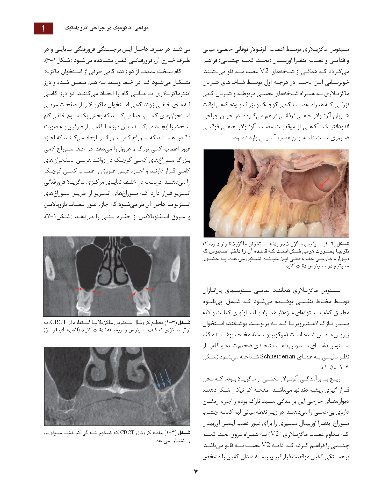24Pages from علم و هنر جراحی اندودانتیکس نوین_Page_07 علم و هنر جراحی اندودانتیکس نوین - Image 7