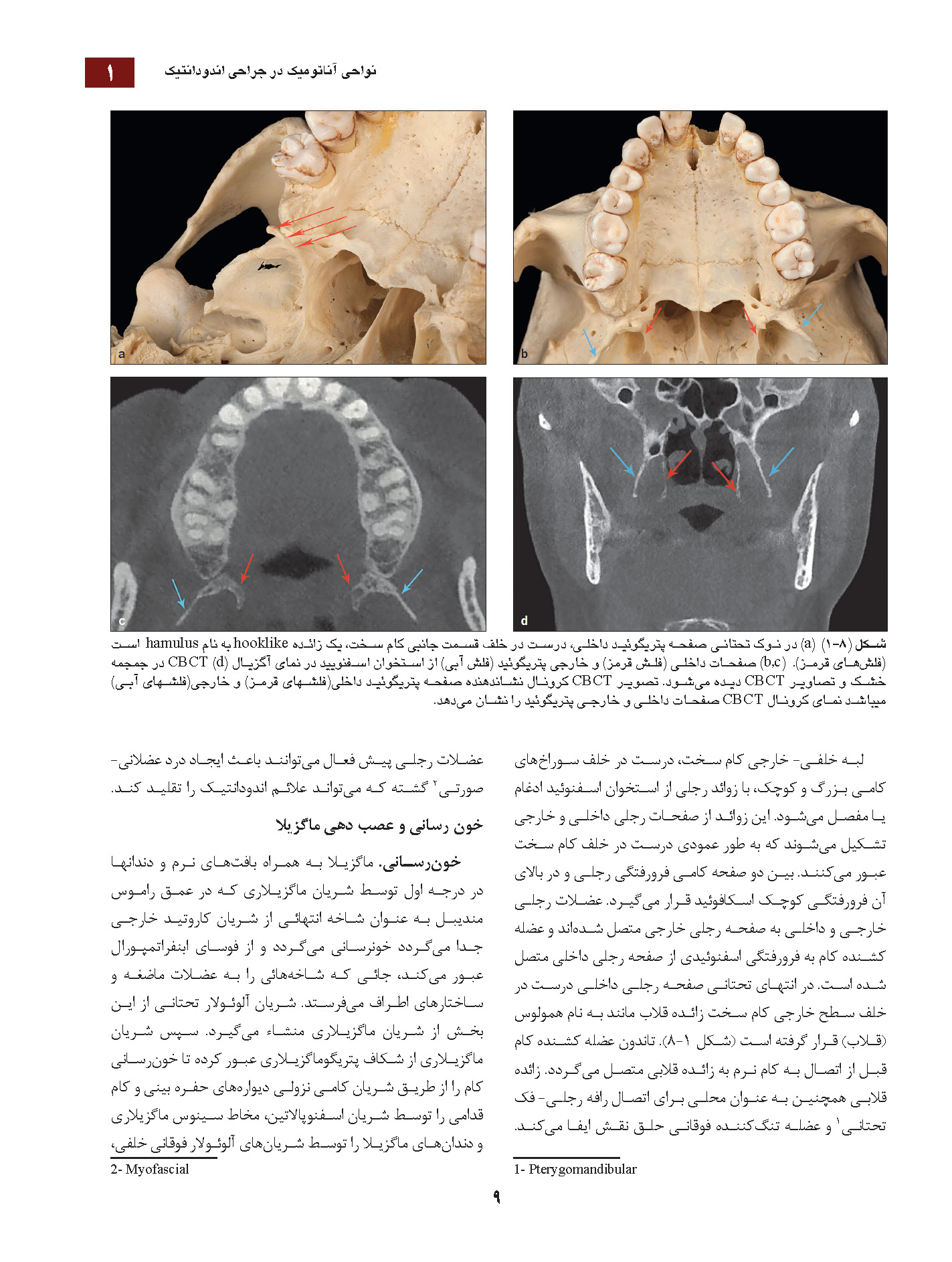 24Pages from علم و هنر جراحی اندودانتیکس نوین_Page_09 علم و هنر جراحی اندودانتیکس نوین - Image 9