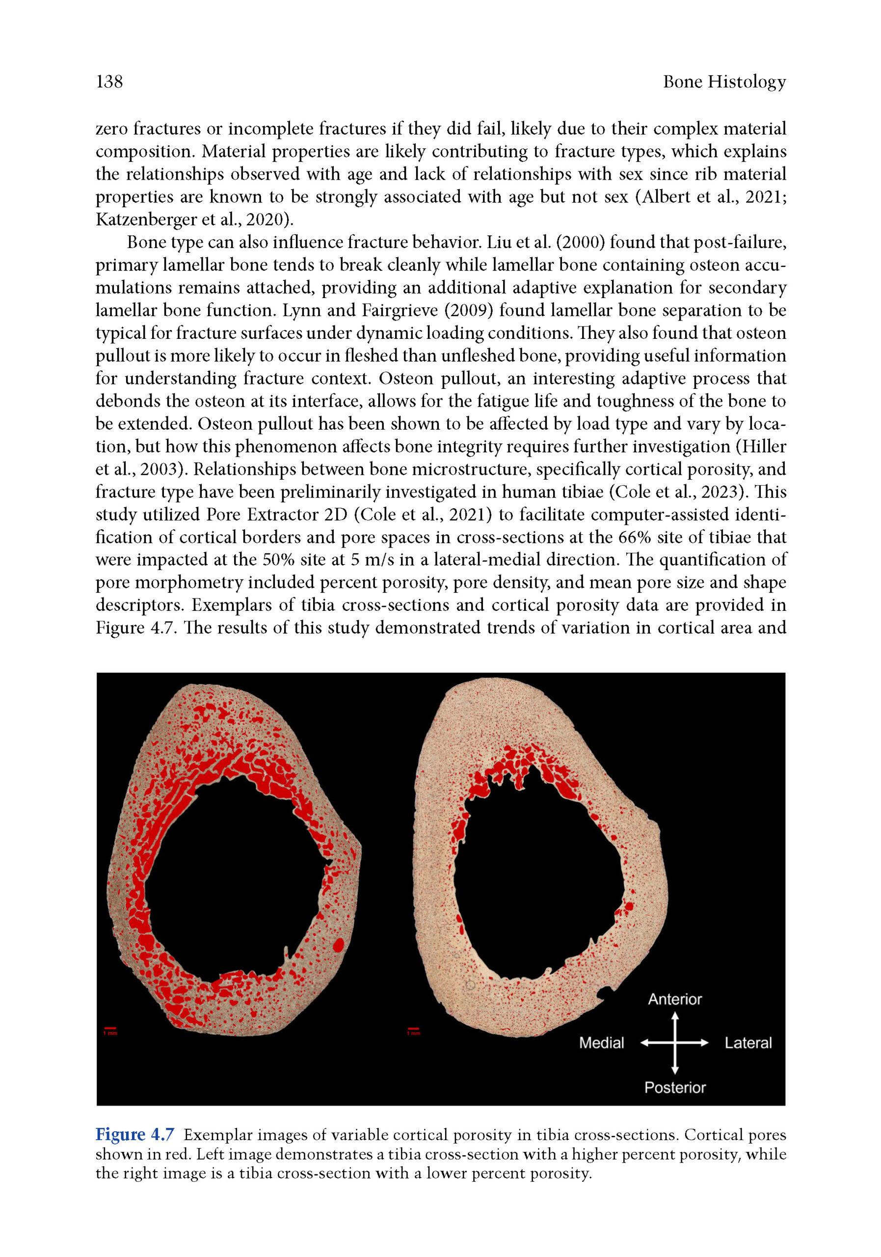 Bone Histology 2025_Page_3 Bone Histology: A Biological Anthropological Perspective 2025 (2nd Edition) - Image 5
