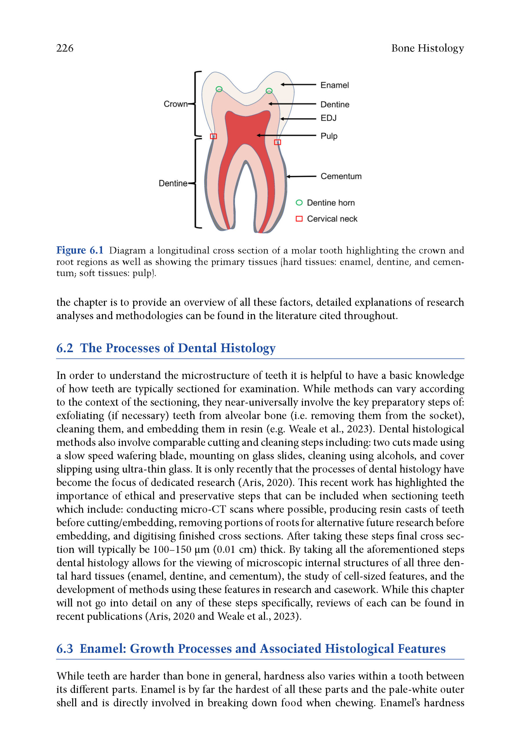 Bone Histology 2025_Page_4 Bone Histology: A Biological Anthropological Perspective 2025 (2nd Edition) - Image 6