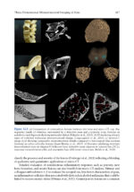 Bone Histology: A Biological Anthropological Perspective 2025 (2nd Edition) - Image 2