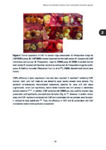 Clinical and Biomimetic Strategies for Dental Implantation in Insufficient Bone Volume Conditions 2025 - Image 5