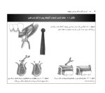 اطلس راهنمای گام به گام جراحی ایمپلنت در دندانپزشکی - Image 6