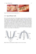 Analysis of Dental Imageries Towards Improved Diagnosis 2025 - Image 3