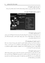 DPQ اندودانتیکس 1404 (مجموعه سؤالات ارتقا دندانپزشکی) - Image 6