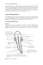 The Periodontic-Endodontic Interface 2024 - Image 3