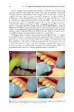 The Periodontic-Endodontic Interface 2024 - Image 7