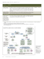 The Reference Manual of Pediatric Dentistry: Definitions, Oral health policies, Recommendations, Endorsements, Resources 2023–2024 - Image 3