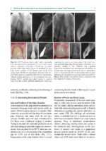 Minimally Invasive Approaches in Endodontic Practice 2021 - Image 8