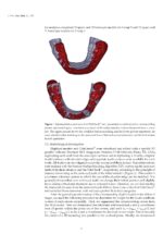 New Approaches and Technologies in Orthodontics 2024 - Image 7