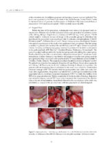 Dental Biomaterials From Fundamental Principles to Clinical Applications 2024 - Image 3