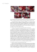 Dental Biomaterials From Fundamental Principles to Clinical Applications 2024 - Image 4