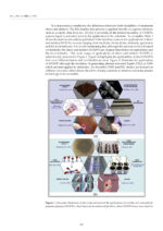 Dental Biomaterials From Fundamental Principles to Clinical Applications 2024 - Image 6
