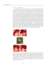 Dental Biomaterials From Fundamental Principles to Clinical Applications 2024 - Image 7