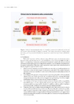 Dental Biomaterials From Fundamental Principles to Clinical Applications 2024 - Image 8