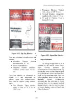 Clinical Applications of Orthodontic Materials 2026 - Image 6