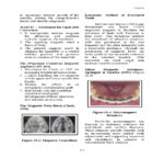 Clinical Applications of Orthodontic Materials 2026 - Image 2