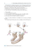 A Guide to Good Occlusal Practice 2022 (BDJ Clinician’s Guides) - Image 7