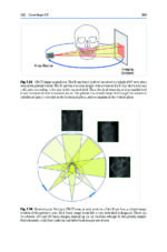 Cone Beam CT in Dentistry: An Atlas for Dentists and Medical Radiologists 2023 (BDJ Clinician’s Guides) - Image 4